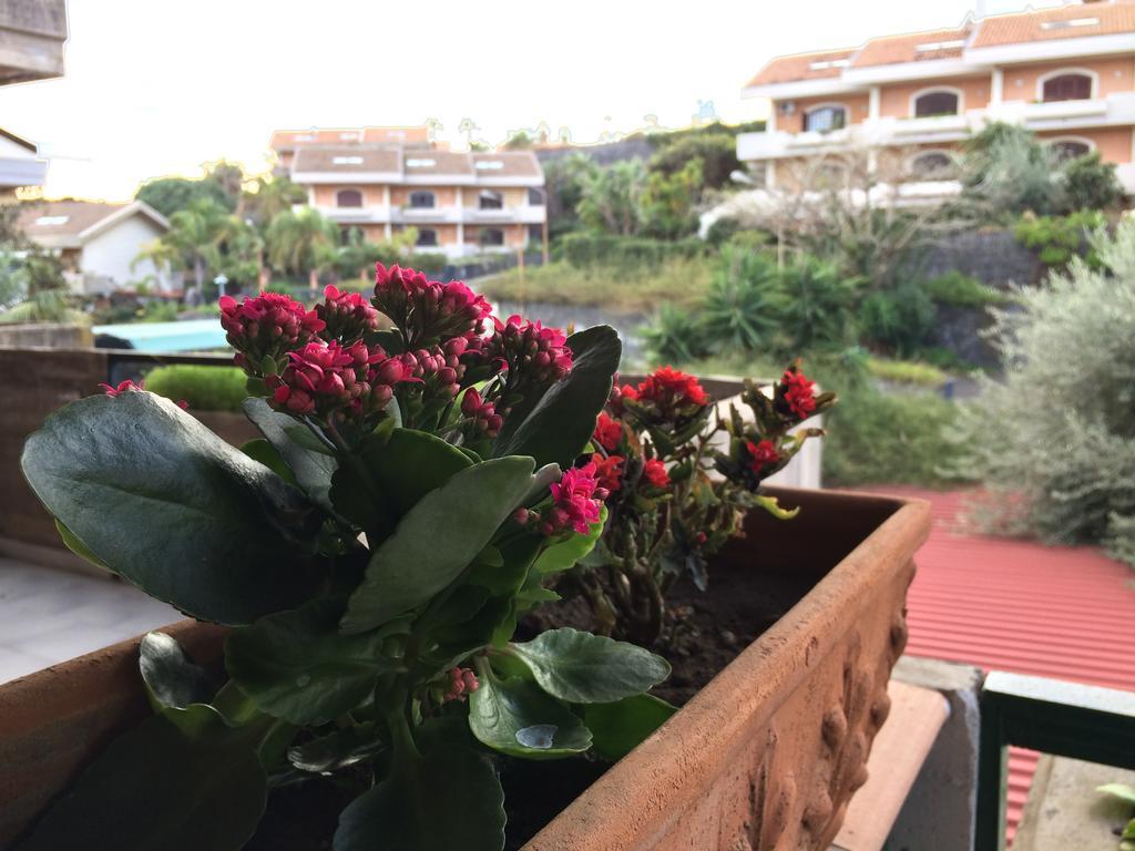 Mulinia Residence By Speaksicily Acireale Eksteriør billede